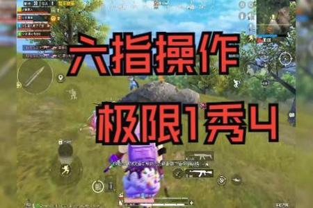 苹果13和平精英辅助(苹果13和平精英操作) 苹果13和平精英辅助(苹果13和平精英操作)